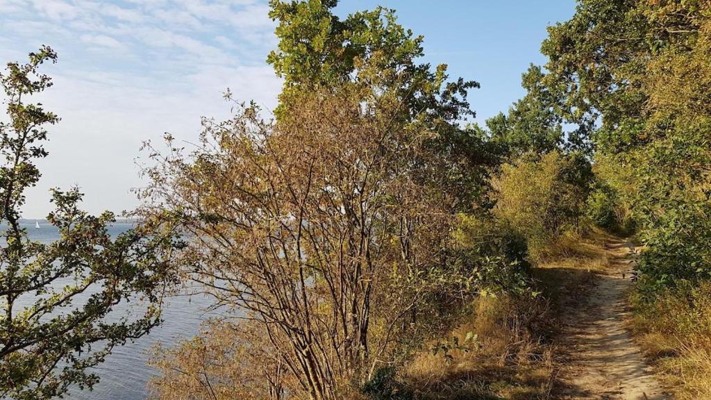 Ferienwohnung Seeblick Altefahr Luaran gambar